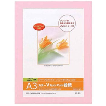 DGVM-A3-P/V J[VJbg䎆 iJoV 31492939