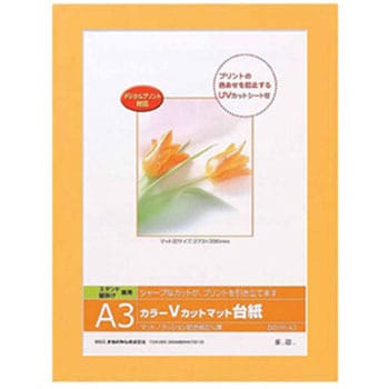 DGVM-A3-O/V J[VJbg䎆 iJoV 31492948