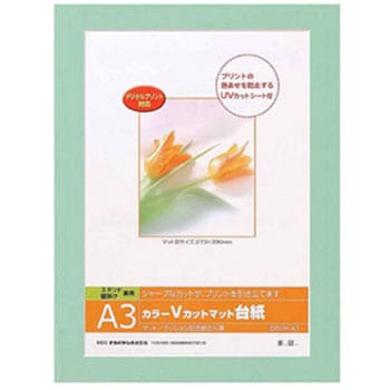 DGVM-A3-G/V J[VJbg䎆 iJoV 31492966