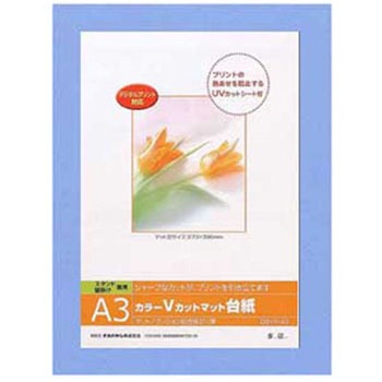 DGVM-A3-B/V J[VJbg䎆 iJoV 31492975