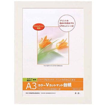 DGVM-A3-W/V J[VJbg䎆 iJoV 31493009