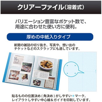 デジャヴカラーズ クリアーファイル(溶着式) プラス(文具)