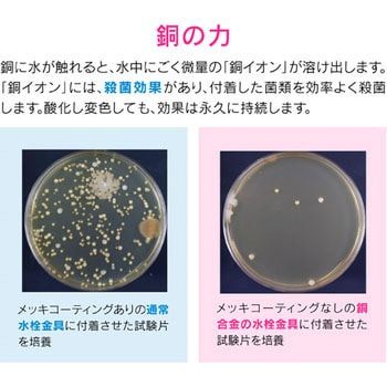これカモ シンク用 銅製のゴミカゴとフタのセット 殺菌効果 (ヌメリ・臭い防止 衛生的) GAONA(ガオナ)