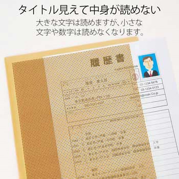 カモフラージュホルダー仕切り付・3ポケット PLUS(プラス)[文具]