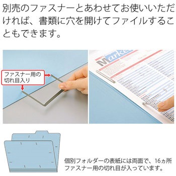 個別フォルダーエコノミー PLUS(プラス)[文具]