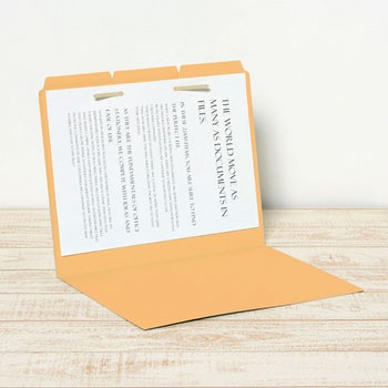 カットフォルダー A4マチなし 3山 プラス(文具)
