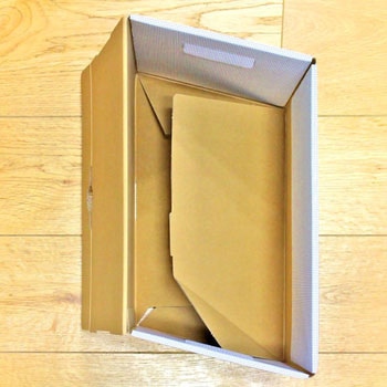 ボックスファイル ス A4 ヨコ フタ付き サンプルボック エコノミー ファイルボックス プラス(文具)