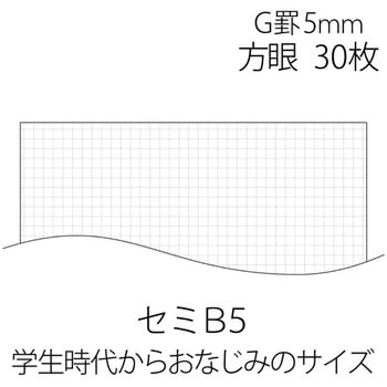 ノートブック セミB5 プラス(文具)