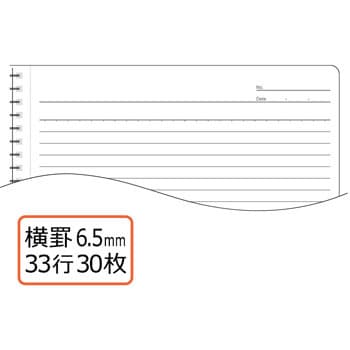 RS-030-4P(76801) リングノート(スパイラルリング) 1パック(30枚×4冊 