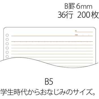 NL-200B(76806) ルーズリーフ 1冊(200枚) プラス(文具) 【通販サイト