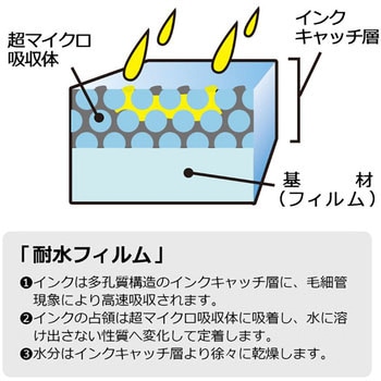 貼ってはがせる超耐水光沢フィルムラベル ホワイト PLUS(プラス)[文具]