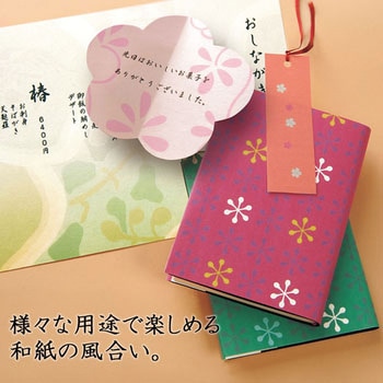和紙 中厚口 プラス(文具)