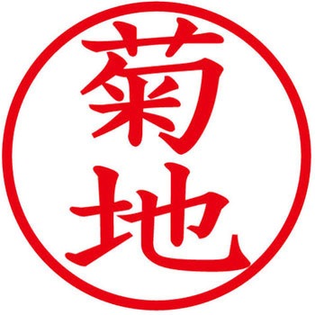 ネームキューブ ネーム印 印鑑 (キ) - PLUS(プラス)[文具]
