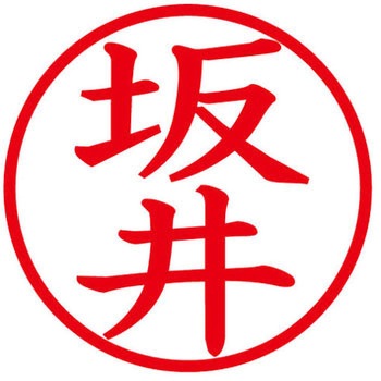 ネームキューブ ネーム印 印鑑 (サ) PLUS(プラス)[文具]