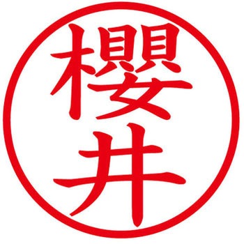 ネームキューブ ネーム印 印鑑 (サ) PLUS(プラス)[文具]