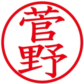 ネームキューブ ネーム印 印鑑 (ス) PLUS(プラス)[文具]