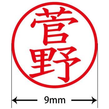 ネームキューブ ネーム印 印鑑 (ス) PLUS(プラス)[文具]