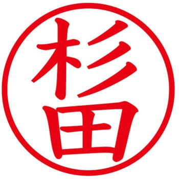 ネームキューブ ネーム印 印鑑 (ス) PLUS(プラス)[文具]