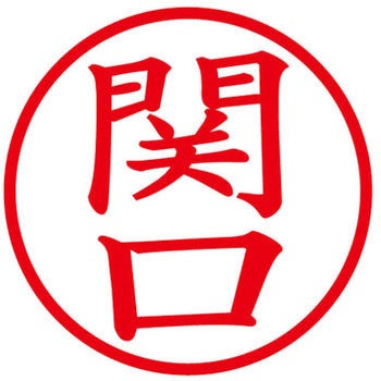 ネームキューブ ネーム印 印鑑 (セ) PLUS(プラス)[文具]