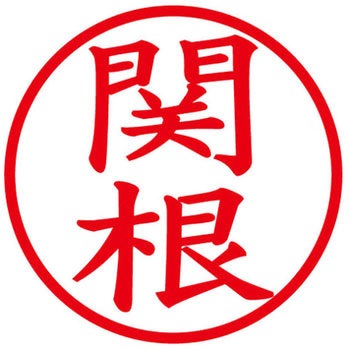 ネームキューブ ネーム印 印鑑 (セ) PLUS(プラス)[文具]