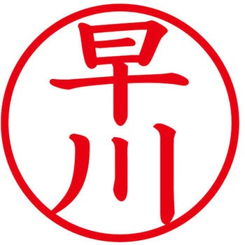 ネームキューブ ネーム印 印鑑 (ハ) PLUS(プラス)[文具]