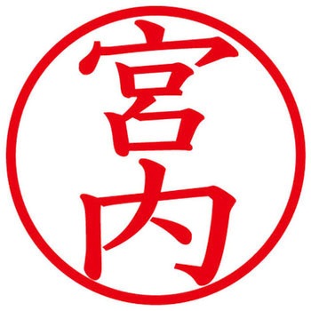 ネームキューブ ネーム印 印鑑 (ミ) PLUS(プラス)[文具]