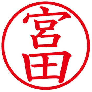 ネームキューブ ネーム印 印鑑 (ミ) PLUS(プラス)[文具]