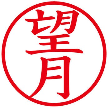 ネームキューブ ネーム印 印鑑 (モ) PLUS(プラス)[文具]