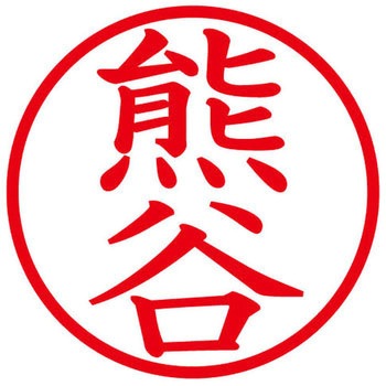 ネームキューブ ネーム印 印鑑 (ク) PLUS(プラス)[文具]