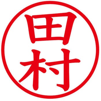 ネームキューブ ネーム印 印鑑 (タ) プラス(文具)