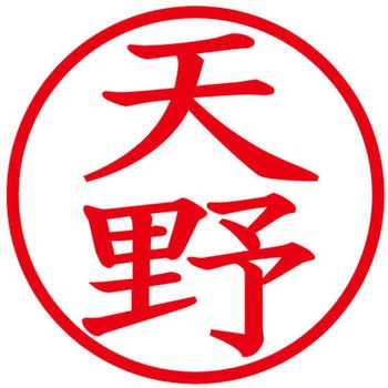 ネームキューブ ネーム印 印鑑 (ア) PLUS(プラス)[文具]