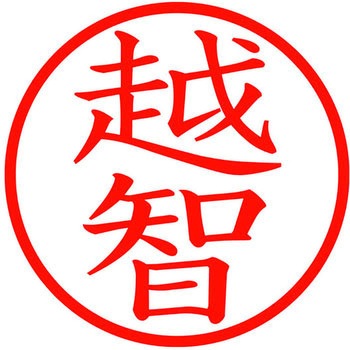 ネームキューブ ネーム印 印鑑 (オ) PLUS(プラス)[文具]
