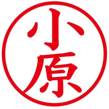 ネームキューブ ネーム印 印鑑 (オ) PLUS(プラス)[文具]