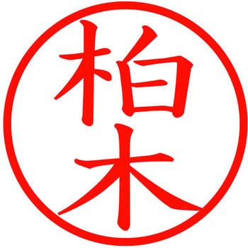 ネームキューブ ネーム印 印鑑 (カ) プラス(文具)
