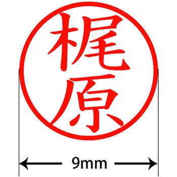ネームキューブ ネーム印 印鑑 (カ) プラス(文具)