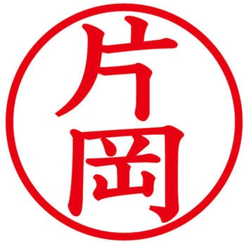 ネームキューブ ネーム印 印鑑 (カ) プラス(文具)