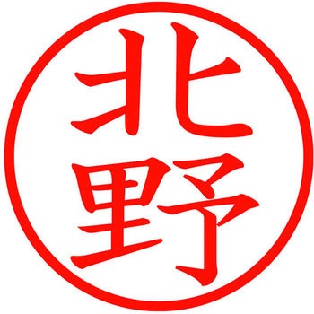 ネームキューブ ネーム印 印鑑 (キ) PLUS(プラス)[文具]