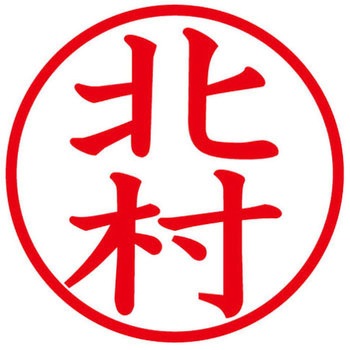 ネームキューブ ネーム印 印鑑 (キ) PLUS(プラス)[文具]