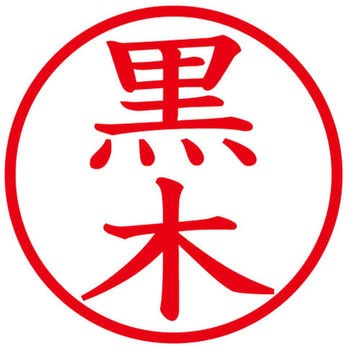 ネームキューブ ネーム印 印鑑 (ク) PLUS(プラス)[文具]
