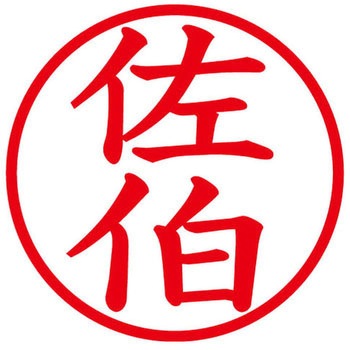 ネームキューブ ネーム印 印鑑 (サ) PLUS(プラス)[文具]