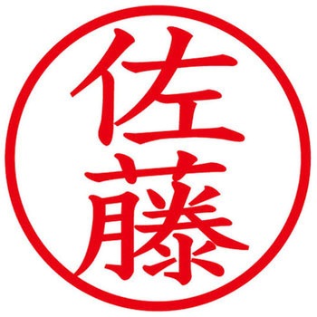 ネームキューブ ネーム印 印鑑 (サ) PLUS(プラス)[文具]