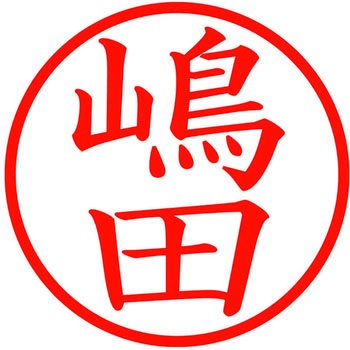 ネームキューブ ネーム印 印鑑 (シ) PLUS(プラス)[文具]