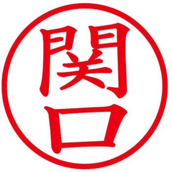 ネームキューブ ネーム印 印鑑 (セ) PLUS(プラス)[文具]