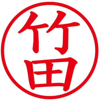 ネームキューブ ネーム印 印鑑 (タ) プラス(文具)