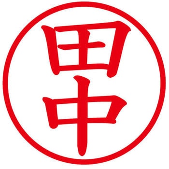 ネームキューブ ネーム印 印鑑 (タ) プラス(文具)