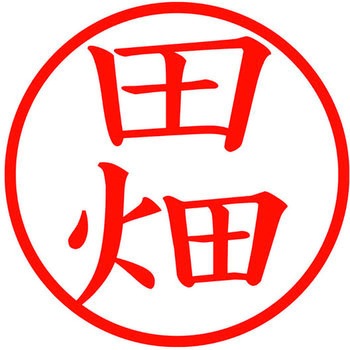 ネームキューブ ネーム印 印鑑 (タ) プラス(文具)