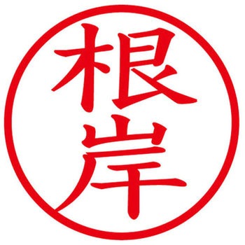 ネームキューブ ネーム印 印鑑 (ネ) プラス(文具)