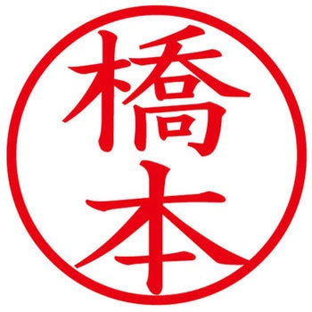 ネームキューブ ネーム印 印鑑 (ハ) PLUS(プラス)[文具]