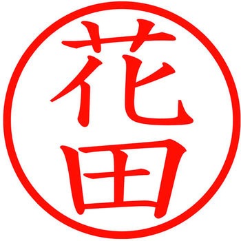 ネームキューブ ネーム印 印鑑 (ハ) PLUS(プラス)[文具]