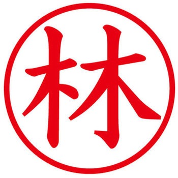 ネームキューブ ネーム印 印鑑 (ハ) PLUS(プラス)[文具]